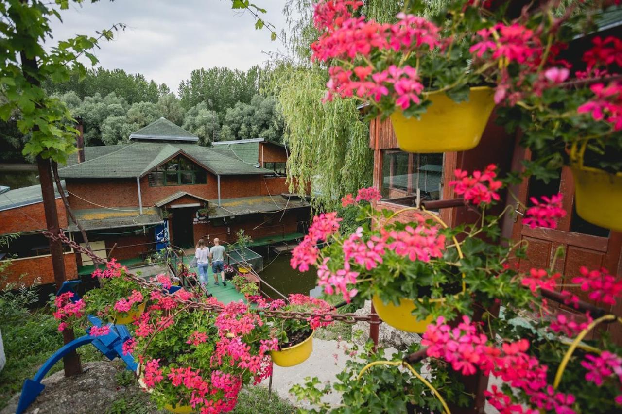 Pool And Villa Splav Dunavac Futog Exterior photo