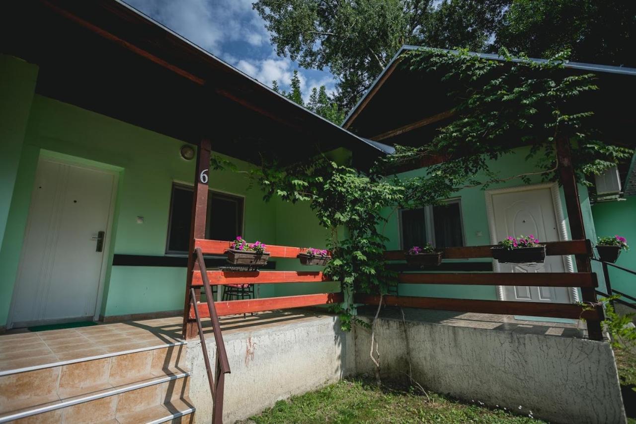 Pool And Villa Splav Dunavac Futog Exterior photo