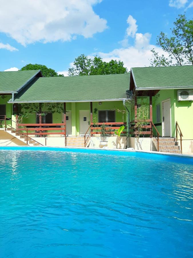 Pool And Villa Splav Dunavac Futog Exterior photo