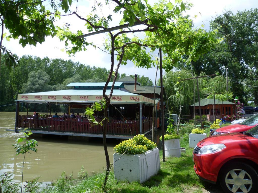 Pool And Villa Splav Dunavac Futog Exterior photo